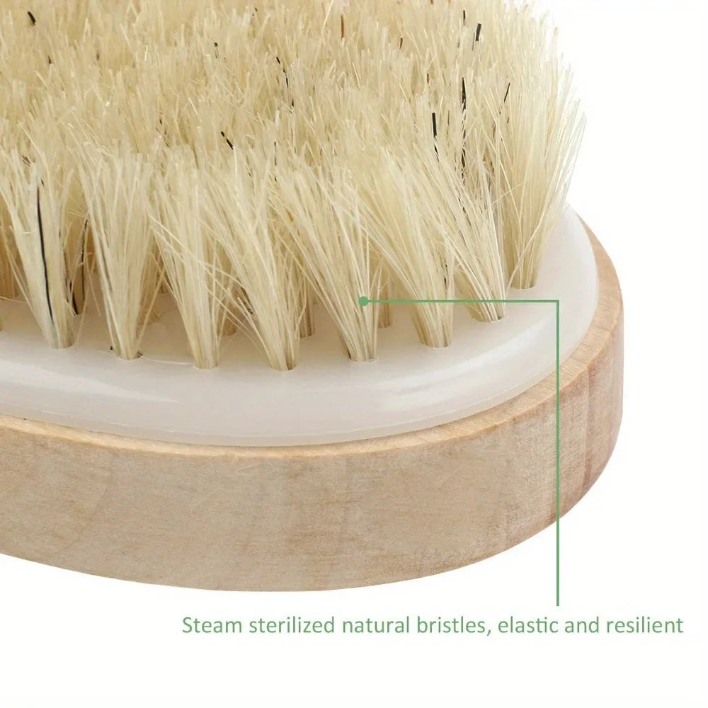 Natural Bristle Body Brush Dry Brushing Exfoliation For Wet Dry Skin Care Lymphatic Massage Back Scrubber